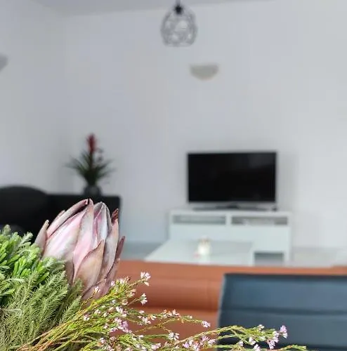 Ellas Modern Duplex Center Apartment